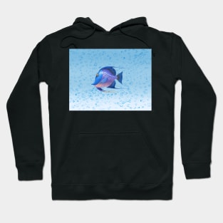 Tropical Blue Fish with Bubbles Hoodie